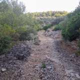  Agricultural land on the island of Korcula 100m from the sea Korcula 8018195 thumb4