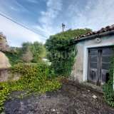  ISTRIA, PIĆAN - Two stone houses for renovation, opportunity! Pićan 8118200 thumb0