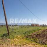  For Sale - (€ 0 / m2), Agricultural 4005 m2 Almiros 7718241 thumb4