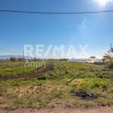  For Sale - (€ 0 / m2), Agricultural 4005 m2 Almiros 7718241 thumb6
