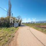  For Sale - (€ 0 / m2), Agricultural 4005 m2 Almiros 7718241 thumb5