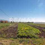  For Sale - (€ 0 / m2), Agricultural 4005 m2 Almiros 7718241 thumb3