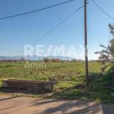  For Sale - (€ 0 / m2), Agricultural 4005 m2 Almiros 7718241 thumb2