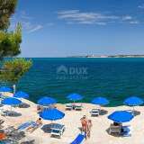  ISTRIA, TAR - 2 bedroom apartment in a great location with a sea view Tar 8118478 thumb1