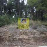  (For Sale) Land Plot || East Attica/Dionysos - 755 Sq.m, 300.000€ Dionysos 8018583 thumb7