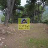  (For Sale) Land Plot || East Attica/Dionysos - 755 Sq.m, 300.000€ Dionysos 8018583 thumb6
