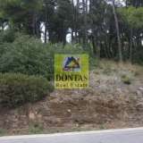  (For Sale) Land Plot || East Attica/Dionysos - 755 Sq.m, 300.000€ Dionysos 8018583 thumb4