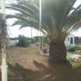   Aljezur (West Algarve) 3218725 thumb1