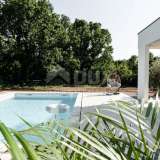  ISTRIA, LABIN - Modern one-story house with swimming pool Labin 8118725 thumb0