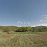  ISTRIA, BUZET - Two houses with spacious land in untouched nature Buzet 8118726 thumb29