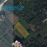  FOR SALE even and buildable plot of 600sq.m., in Zaloggo Preveza (Kanali), within the city plan, with a coverage factor of 70% building ie 400 sq.m.Ideal for exploitation just 15 minutes (walking) from the sea or 5 minutes by car.INFORMATION AT : (+30 Zaloggo 8218731 thumb0