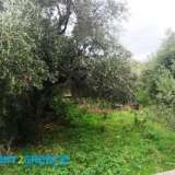  FOR SALE EVEN AND BUILDABLE PLOT OF 679 sq.m. within the settlement, level, with building factor 1.6, coverage coefficient 70%, east orientation in the area of Argostoli Kefalonia, in a privileged position for tourist exploitation only 5 minutes from the  Argostoli  8218747 thumb1