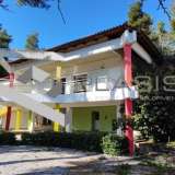 (For Rent) Residential Detached house || East Attica/Stamata - 430 Sq.m, 4 Bedrooms, 2.300€ Athens 7618804 thumb2