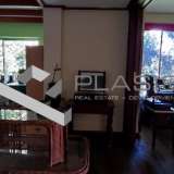  (For Rent) Residential Detached house || East Attica/Stamata - 430 Sq.m, 4 Bedrooms, 2.300€ Athens 7618804 thumb3