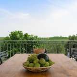  ISTRA, BUJE - Luxury villa with a wonderful view Buje 8118843 thumb15