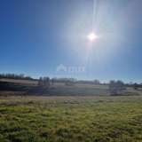 ISTRIA, BARBAN - A spacious complex of land in an excellent location Barban 8118846 thumb8