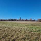  ISTRIA, BARBAN - A spacious complex of land in an excellent location Barban 8118846 thumb5