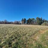  ISTRIA, BARBAN - A spacious complex of land in an excellent location Barban 8118846 thumb2