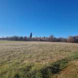  ISTRIA, BARBAN - A spacious complex of land in an excellent location Barban 8118846 thumb10
