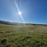  ISTRIA, BARBAN - A spacious complex of land in an excellent location Barban 8118846 thumb0