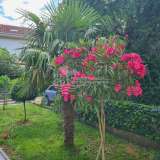  Bilice/Charming house with a beautiful garden 40 m from the sea Bilice 8018097 thumb33