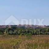  ISTRIA, LIŽANJAN - Agricultural plot suitable for an olive grove Lizhnjan 8118097 thumb0