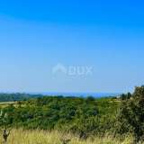  ISTRIA, MOMJAN - Istrian stone house with a view of the sea Buje 8119201 thumb8