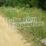  Agricultural land in the village of Prisovo Prisovo village 4819032 thumb5