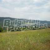  Agricultural land in the village of Prisovo Prisovo village 4819032 thumb1
