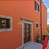  ISTRIA, OPRTALJ - Stone house with swimming pool in the old town Oprtalj 8119789 thumb1