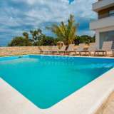  PAG ISLAND, MANDRE - luxury villa with pool Kolan 8119870 thumb5