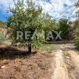  For Sale - (€ 0 / m2), Agricultural 1249 m2 Sipiada 6719876 thumb9