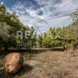  For Sale - (€ 0 / m2), Agricultural 1249 m2 Sipiada 6719876 thumb0