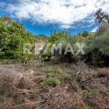 For Sale - (€ 0 / m2), Agricultural 1249 m2 Sipiada 6719876 thumb6