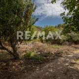  For Sale - (€ 0 / m2), Agricultural 1249 m2 Sipiada 6719876 thumb5
