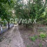  For Sale - (€ 0 / m2), Agricultural 1249 m2 Sipiada 6719876 thumb8
