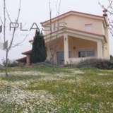  (For Sale) Residential Detached house || Korinthia/Sikyona - 181 Sq.m, 4 Bedrooms, 300.000€ Sikiona 7919985 thumb0