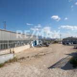  For Sale - (€ 0 / m2), Industrial Site 2345 m2 Volos 8102333 thumb9