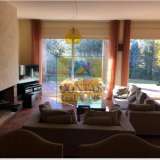  (For Sale) Residential Detached house || East Attica/Afidnes (Kiourka) - 475 Sq.m, 3 Bedrooms, 500.000€ Afidnes 7702364 thumb1