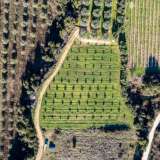  For Sale - (€ 0 / m2), Agricultural 5000 m2 Eleftheres 8102454 thumb3