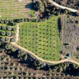  For Sale - (€ 0 / m2), Agricultural 5000 m2 Eleftheres 8102454 thumb7