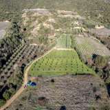  For Sale - (€ 0 / m2), Agricultural 5000 m2 Eleftheres 8102454 thumb6