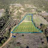  For Sale - (€ 0 / m2), Agricultural 5000 m2 Eleftheres 8102454 thumb9