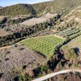  For Sale - (€ 0 / m2), Agricultural 5000 m2 Eleftheres 8102454 thumb2