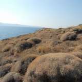  BEACHFRONT LAND IN KERATEA Keratea 8102593 thumb0