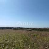  ISTRIA, BUJE - Agricultural land of 14,255 m2 with a sea view! Buje 8120136 thumb10