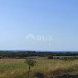  ISTRIA, BUJE - Agricultural land of 14,255 m2 with a sea view! Buje 8120136 thumb12