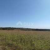  ISTRIA, BUJE - Agricultural land of 14,255 m2 with a sea view! Buje 8120136 thumb9