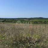  ISTRIA, BUJE - Agricultural land of 14,255 m2 with a sea view! Buje 8120136 thumb13