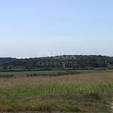  ISTRIA, BUJE - Agricultural land of 14,255 m2 with a sea view! Buje 8120136 thumb7